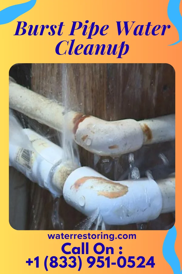 Burst Pipe Water Cleanup in Pardeesville, PA
