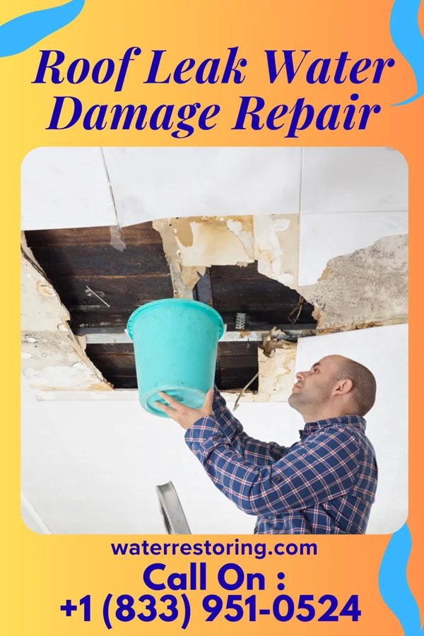 Roof Leak Water Damage Repair in Pardeesville, PA