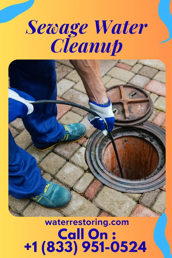 Sewage Water Cleanup in Pardeesville, PA